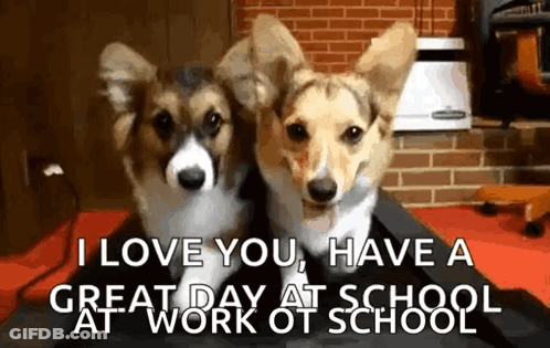 Two Corgi Dogs Are Sitting Next To Each Other With The Words `` I Love You , Have A Great Day At Work At School '' GIF