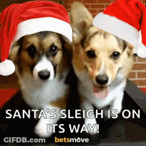 Two Corgi Dogs In Santa Hats With Santas Sleigh On Its Way GIF