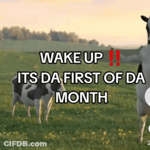 Two Cows Are Standing In A Grassy Field With The Words Wake Up Its Da First Of Da Month GIF