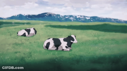 Two Cows Laying Down In Field With Mountains GIF