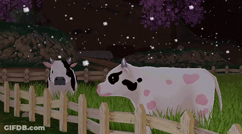 Two Cows Standing Behind Fence GIF