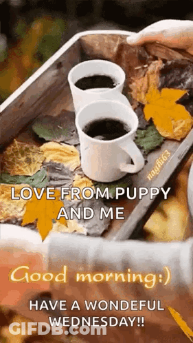 Two Cups Of Coffee On Wooden Tray Surrounded By Leaves GIF