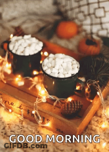 Two Cups Of Hot Chocolate With Marshmallows Saying Good Morning GIF