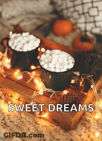 Two Cups Of Hot Chocolate With Marshmallows Saying Sweet Dreams GIF