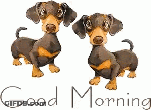 Two Dachshunds Next To Each Other GIF