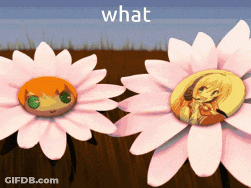 Two Daisies Saying What GIF