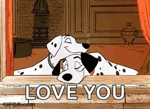 Two Dalmatian Dogs Are Laying Next To Each Other In Front Of A Window And The Words `` I Love You '' . GIF