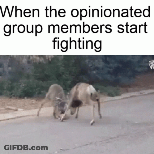 Two Deer Fighting When Opinionated Group Members Fight GIF