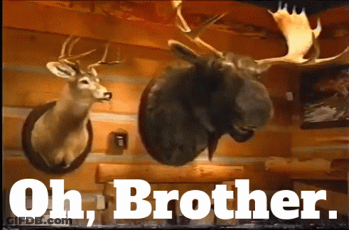 Two Deer Heads Mounted Below Oh Brother GIF