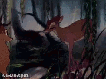 Two Deer Standing In Forest GIF