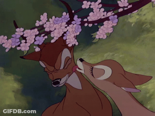 Two Deer Standing In Forest GIF
