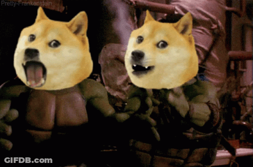 Two Doggos Dressed As Teenage Mutant Ninja Turtles Pretty Frankenstein GIF