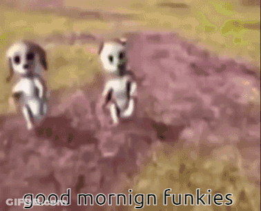 Two Dogs Are Running In A Field With The Words Good Mornign Funkies GIF