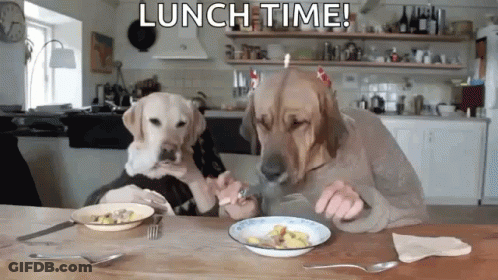Two Dogs Are Sitting At A Table Eating Food With The Words Lunch Time Written Above Them GIF