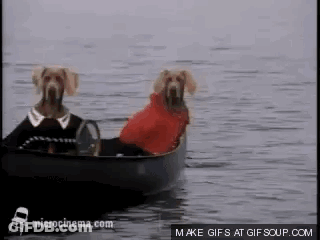 Two Dogs Are Sitting In A Boat On The Water . GIF