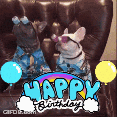 Two Dogs Are Sitting On A Couch With Balloons And The Words Happy Birthday GIF