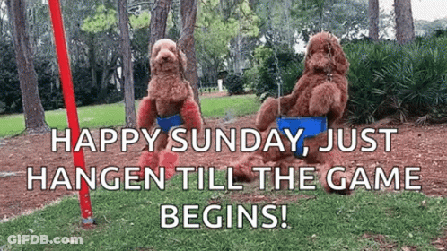 Two Dogs Are Sitting On A Swing In A Park With The Words `` Happy Sunday , Just Hangen Till The Game Begins ! '' GIF