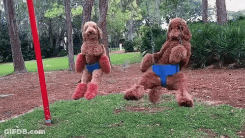 Two Dogs Are Sitting On Swings In A Park . GIF