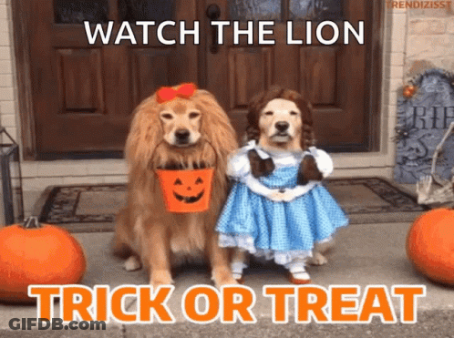Two Dogs As Wizard Of Oz Characters With Trick Or Treat Sign GIF