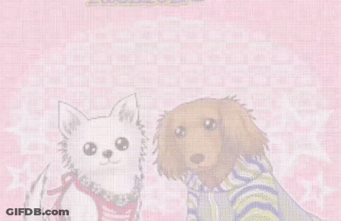 Two Dogs Dogz Fashion GIF