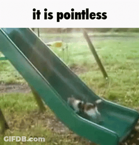 Two Dogs Going Down A Slide Saying It Is Pointless GIF