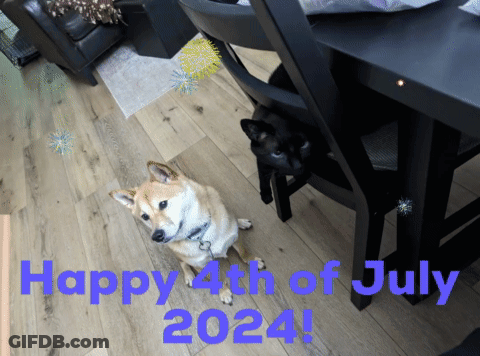 Two Dogs Happy 4Th Of July 2024 GIF