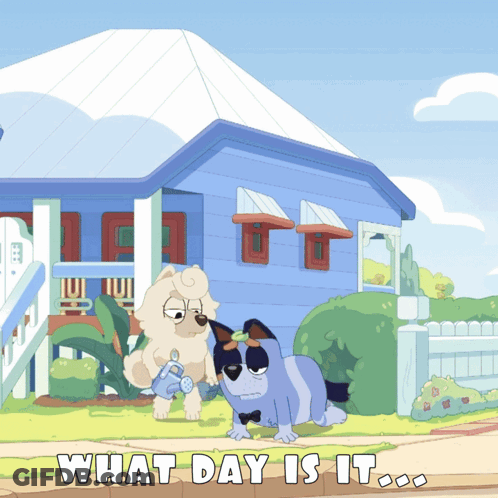Two Dogs In Front Of Blue House Saying What Day Is It GIF