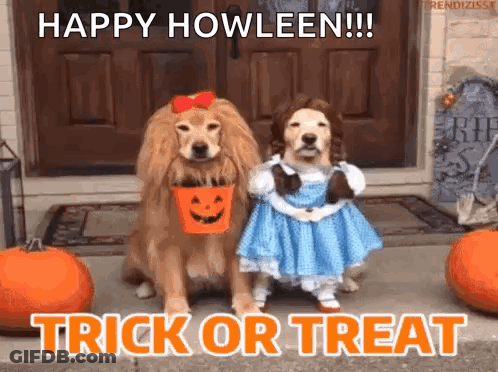 Two Dogs In Halloween Costumes Standing Together GIF