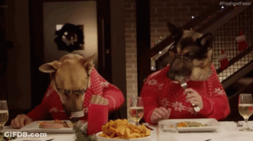 Two Dogs In Red Sweaters Eating #Freshgetfeast GIF