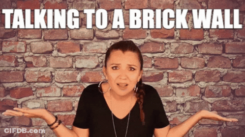 Two Dogs Looking At Camera With Brick Wall GIF