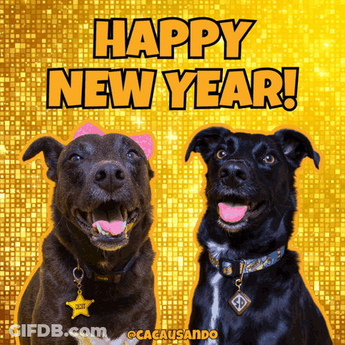 Two Dogs On A Yellow Background With The Words Happy New Year Written Above Them GIF