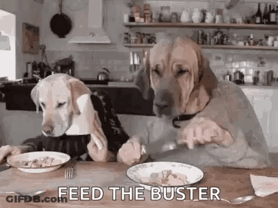 Two Dogs Sitting At Table With Food GIF