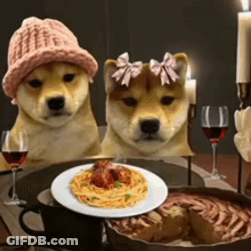 Two Dogs Sitting At Table With Spaghetti GIF