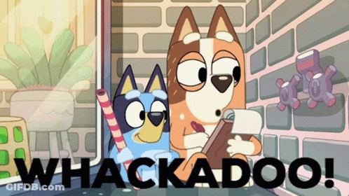 Two Dogs Sitting Next To Each Other GIF