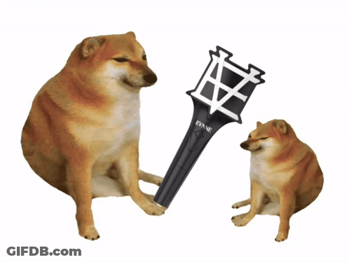 Two Dogs Sitting Next To Each Other One Holding A Evane Light Stick GIF