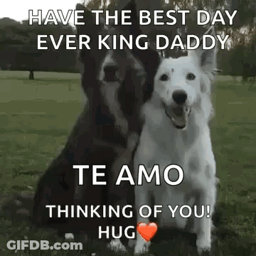 Two Dogs Sitting Next To Each Other With Heart In Field GIF