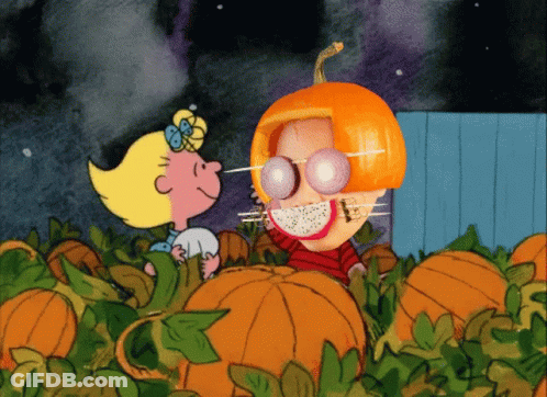 Two Dogs Sitting Next To Pumpkins And Leaves GIF