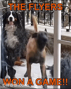 Two Dogs Standing In Front Of Window Saying The Flyers Won A Game GIF