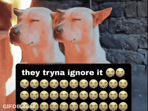 Two Dogs Standing Next To Keyboard Saying They Tryna Ignore It GIF