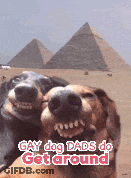 Two Dogs Taking A Selfie With The Words Gay Dog Dads Do Get Around GIF