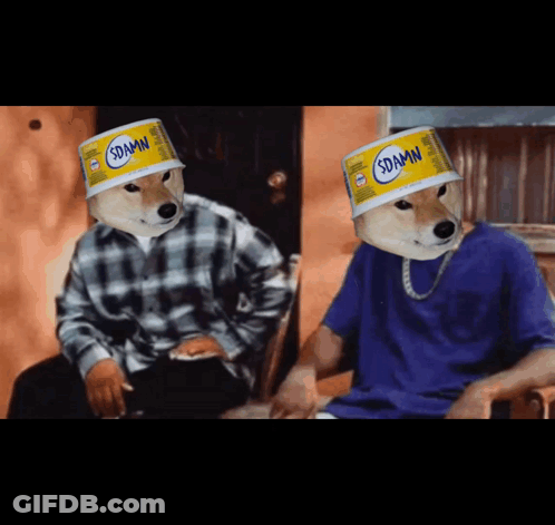 Two Dogs Wearing Cans On Their Heads With The Word Damn On Them GIF