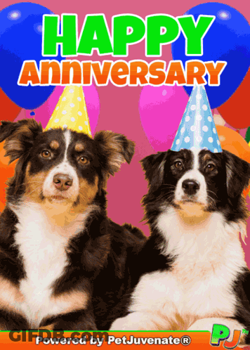 Two Dogs Wearing Party Hats Happy Anniversary GIF