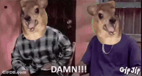 Two Dogs Wearing Plaid Shirts And Purple Shirts Are Sitting Next To Each Other In A Chair . GIF