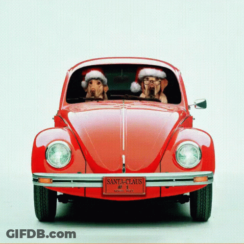 Two Dogs Wearing Santa Hats Are In A Red Car GIF