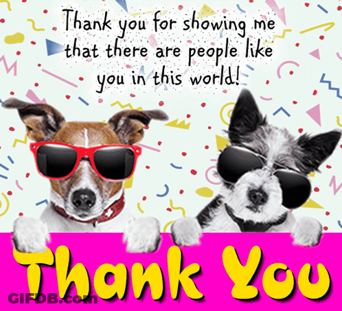Two Dogs Wearing Sunglasses Are Behind A Sign That Says " Thank You For Showing Me That There Are People Like You In Thi GIF