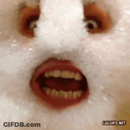 Two Dogs With Pramod Gf Caption GIF