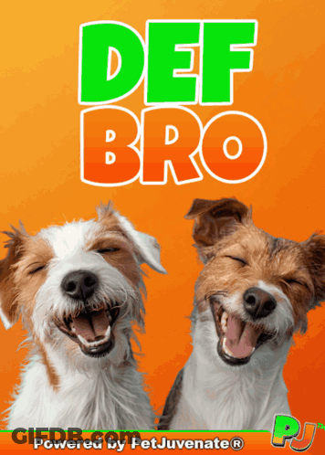 Two Dogs With Their Mouths Open And The Words Def Bro Behind Them GIF
