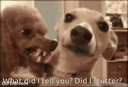 Two Dogs With What Did I Tell You Did I Stutter GIF