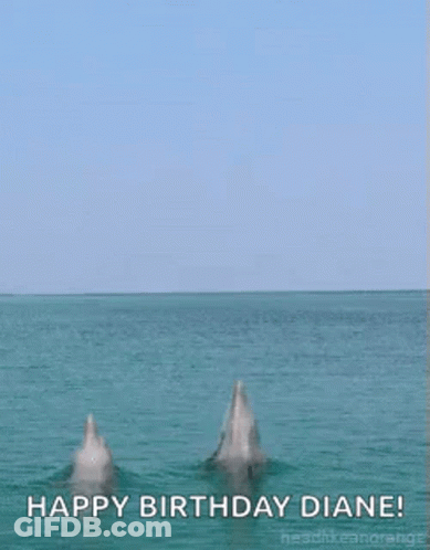 Two Dolphins Jumping With Happy Birthday Diane GIF