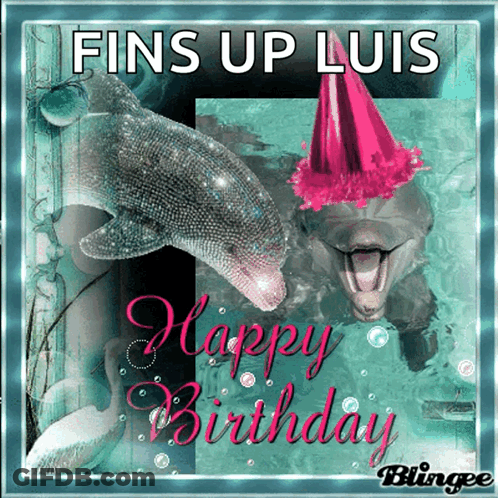 Two Dolphins Wearing Party Hats Fins Up Luis Happy Birthday GIF